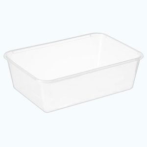 Clear PP Freezer Container 750ml (173x119x53.5mm)