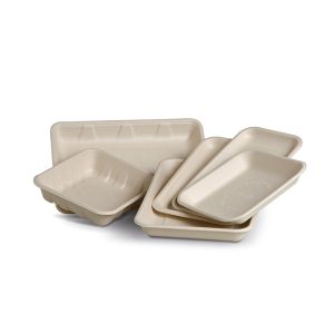Natural Sugarcane Produce Tray 153x153x24mm