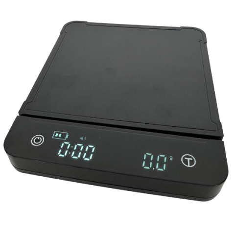 Waterproof Scale-1
